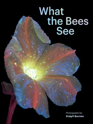 cover image of What the Bees See